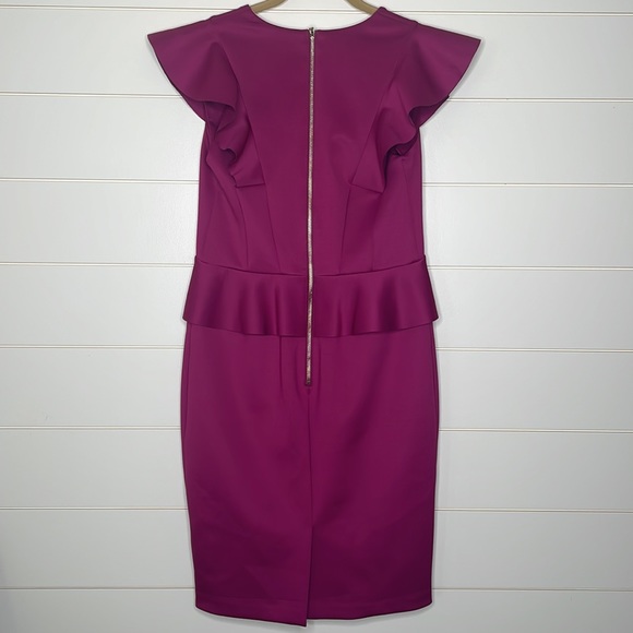 NWOT Ted Baker Dress Size 2 - Picture 5 of 9